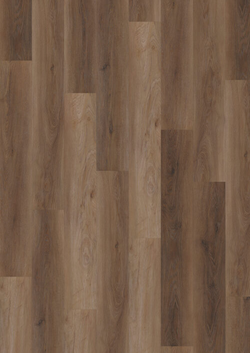 Workshop 55 - Walnut Natural