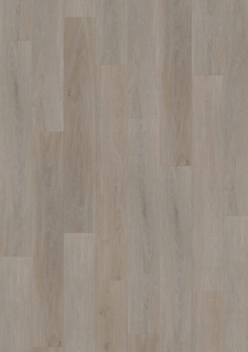 Workshop 55 - English Oak Greige