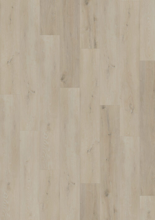 Workshop 55 - Prestige Oak White