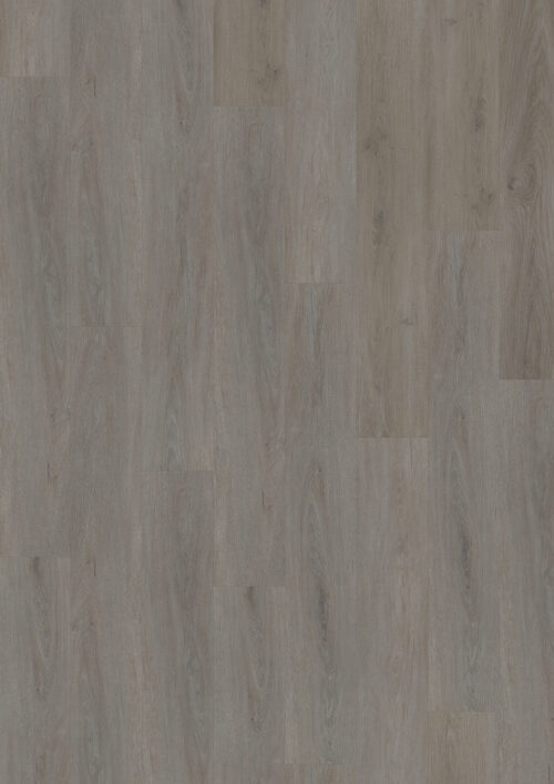Workshop 55 - English Oak Taupe