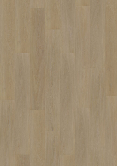Workshop 55 - English Oak Natural