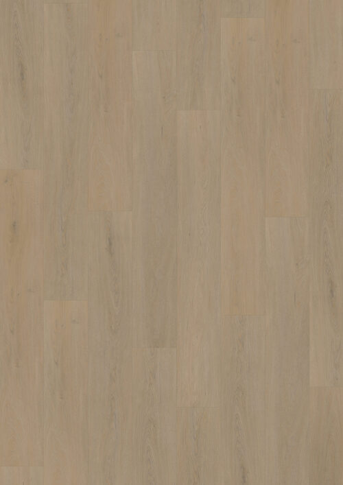 Workshop 55 - English Oak Warm Natural 