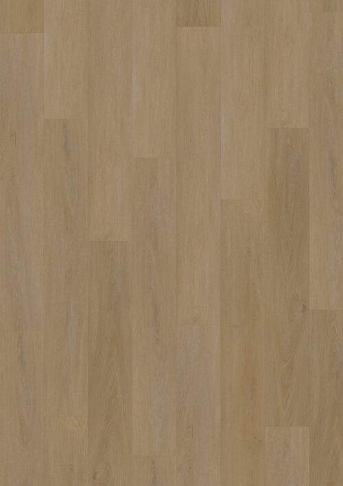 Workshop 55 - English Oak Honey