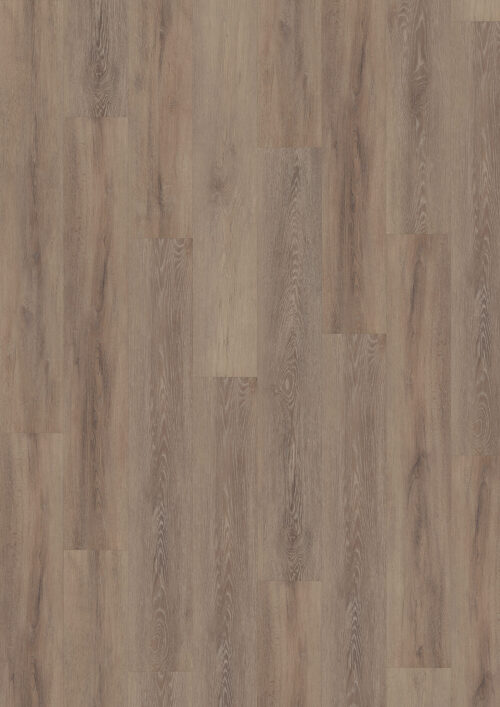 Workshop 55 - Cerused Oak Dark Natural