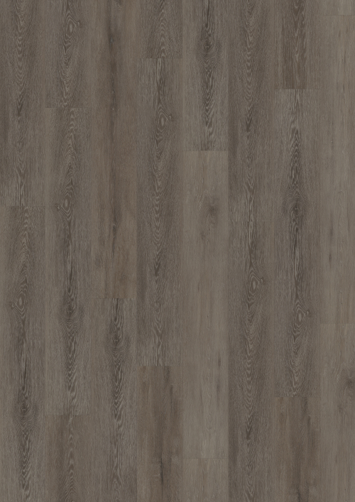 Workshop 55 - Cerused Oak Dark Brown