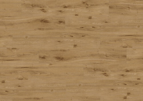 Klijuojamas Vinilas Ter Hürne  - Oak York 